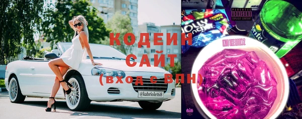 крисы Лабытнанги