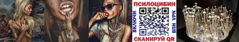 Псилоцибиновые грибы GOLDEN TEACHER  кракен сайт  Малаховка 